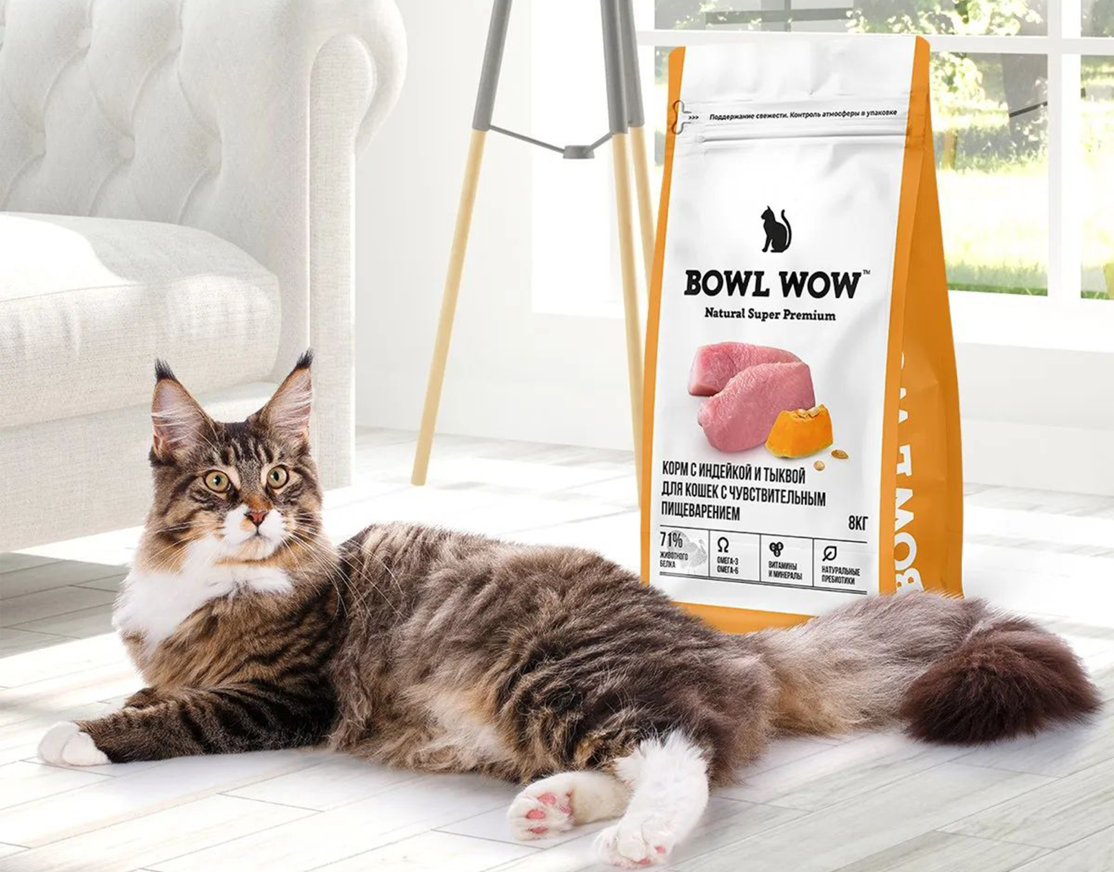 Home Portfolio Image 234